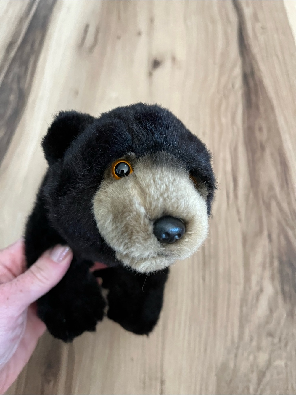 Ganz Webkinz Signature Black Bear WKSS2002 10" Plush Realistic NO CODE